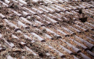 Dumbreck roof cleaning companies