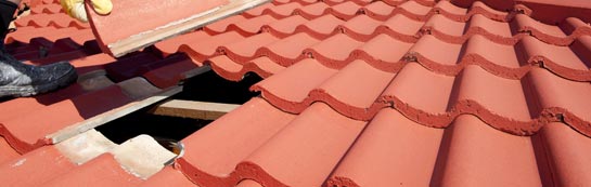 compare Dumbreck roof repair quotes